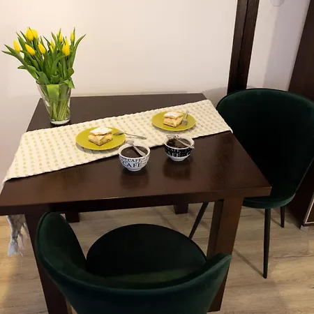 Pod Kicarzem Apartment Piwniczna-Zdroj